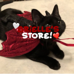 Brielle's Store!