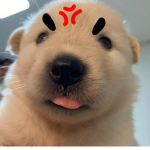 Roblox Fandom(My Best friend)