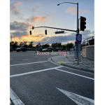 roses d4rlings