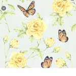 Beautiful butterfly