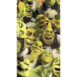 The Shreky seven