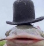 Sir. Fishingtons dapper fish