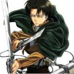 Captain Levi fan.