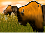 Legacy Of The Plains