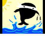 Ninja whales