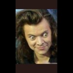 BREAK INTO HARRY STYLES HOUSE OBBY