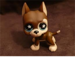 LPS