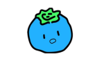 BlueBerry Experiences