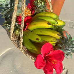 🌺⋆