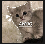 -AWOO-