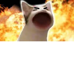 survie the killer cats