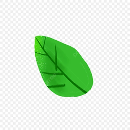 선훌 컴퍼니 Roblox group icon