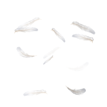 [Animated] Angel Feathers