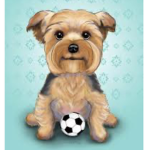 Tiny Yorkie Squad