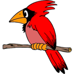 Cardinal Games!