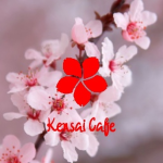Kensai Cafe