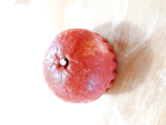 킹받는 뇨속들