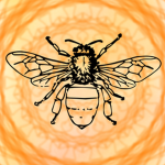 Hive Clothes