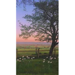 -*coco’s cottage*-