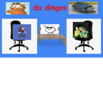 Dingo_studios