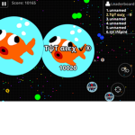 Agar.io kingdom