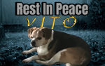 Legends of Vito