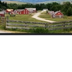 Nicks Ranching Co.