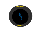 Blue Wing Star Fleet