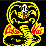 Cobra Kai karate1