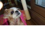 승의 그룹