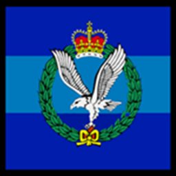 Joint Aviation Force - Bastion