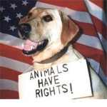 Prevent Animal Cruelty