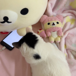 kwittyclaws