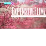 ExpensiveFlimz™