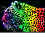 rainbow ###### group