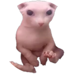 Bingus of Psycho Eyes but it doesnt have a design