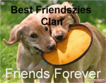 Epic Friendzies Clan