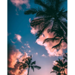 Thecoolkidsclublol