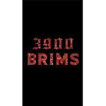 3900 BRIMS