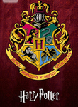Hogwarts school of witchcraft and wizardry club!