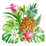 Tropics Wardrobe