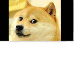 THA DOGE GROUP!!!!!!!!