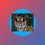 TigerPlays official fan group!!!