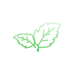 MintBlox
