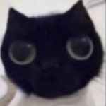 2ショート