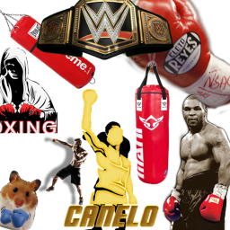 Boxing G