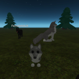 Wolf's forest