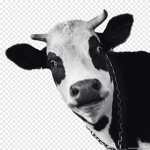 The Moo Moo Cow Squad