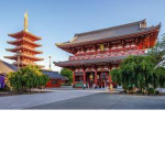 ninja group 12345678910