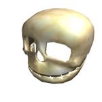 ROBLOX Skull Owners